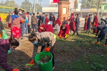 हाेम पेज